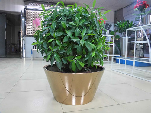 廣東汕頭不銹鋼花盆哪家做的好？